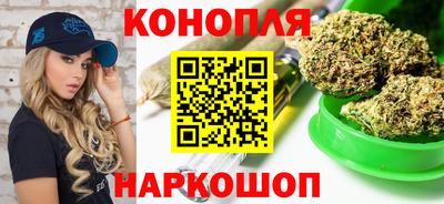 шишки Славгород