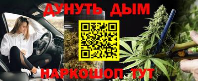 шишки Славгород