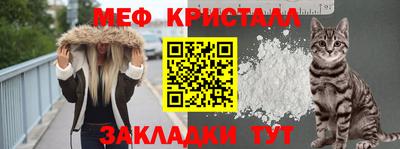 шишки Славгород